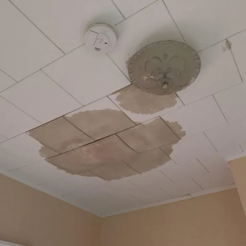Ceiling Water Damage Repair in Summerfield, NC