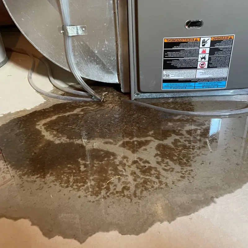 Pipe Burst and Leak Restoration in Summerfield, NC