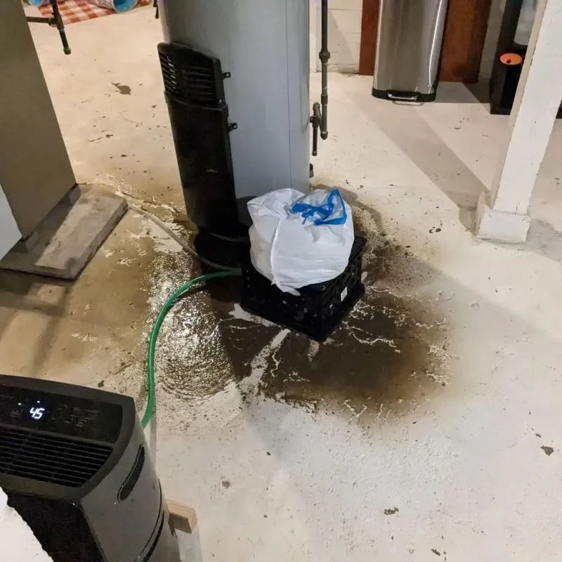Sewage Backup Cleanup Service in Summerfield, NC